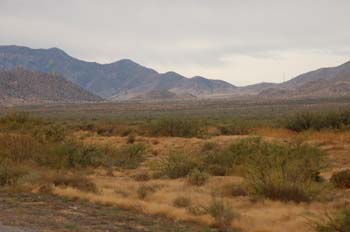 nm2013-123