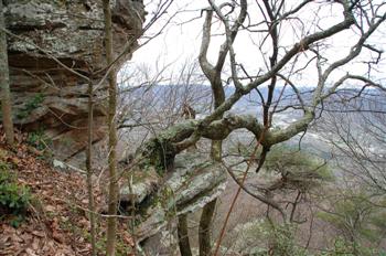 lookout04