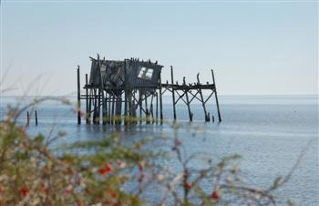 cedarkey05