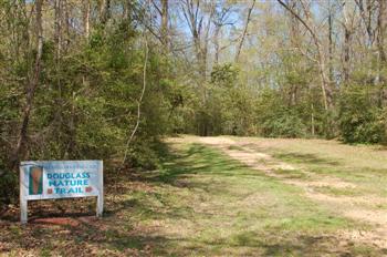 moundville06
