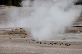 norris basin12