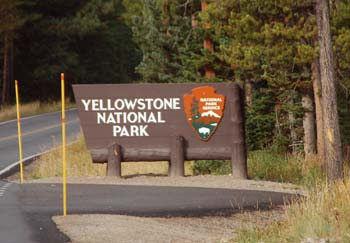 yellowstone001