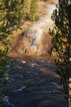 yellowstone037