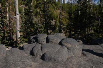 yellowstone158